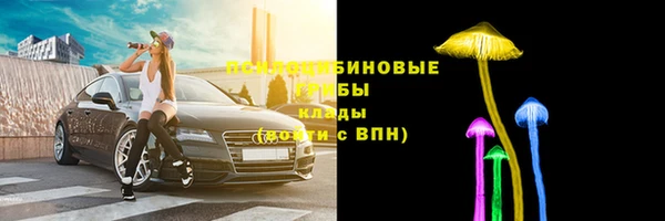 соль курить ск Алексеевка