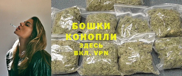 СК Зерноград