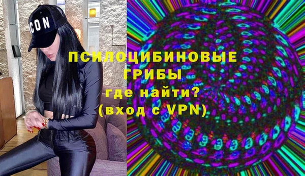 мяу мяу мука Алексин
