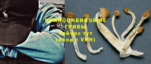 соль курить ск Алексеевка