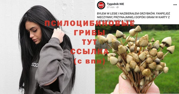 мяу мяу мука Алексин