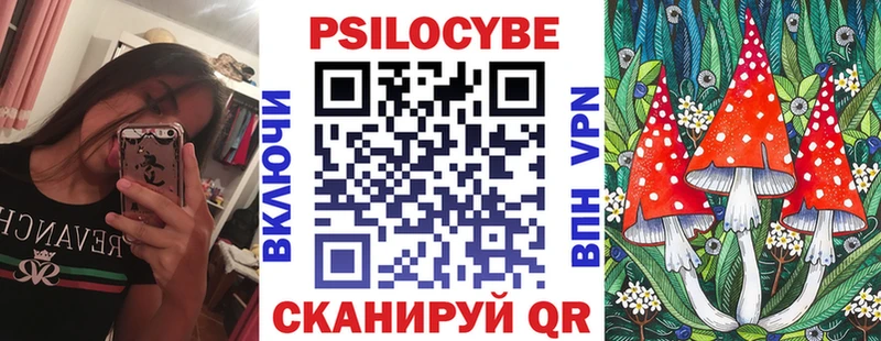 купить наркоту  Пустошка  Псилоцибиновые грибы Psilocybine cubensis 